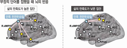 삶의 만족도가 높은 사람의 뇌는 나쁜 정보를 접했을 때 ‘안쪽 전전두피질’이 활성화되며 정서조절 기능을 하는 신경망(노란 동그라미)에 이를 활발히 전파해 그 영향을 최소화했지만(왼쪽), 만족도가 낮은 사람의 뇌는 그런 전파 기능이 미약했다. 강남세브란스병원 제공