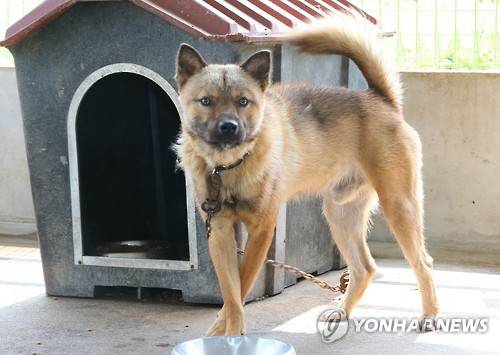 [연합뉴스 자료사진]