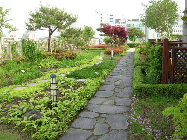 서울 종로구 재동 헌법재판소 옥상정원 백송하늘공원. 서울시 제공