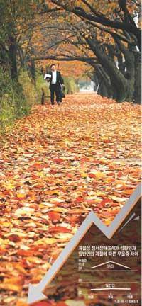 [헬스조선]계절성 우울증을 극복하기 위해서는 햇볕을 많이 쬐는 것이 중요하다
