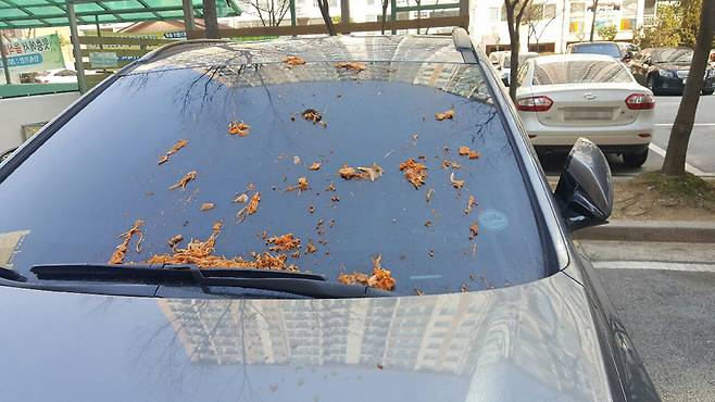 [광주 광산경찰서]