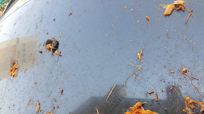 [광주 광산경찰서]