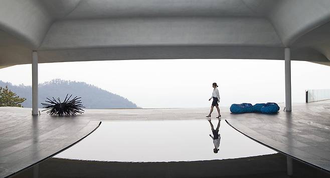 사우스케이프 오너스클럽.