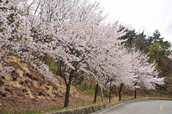 가산산성 진남문 쪽 등산로 입구