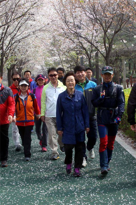 양재천 벚꽃길 걷기축제