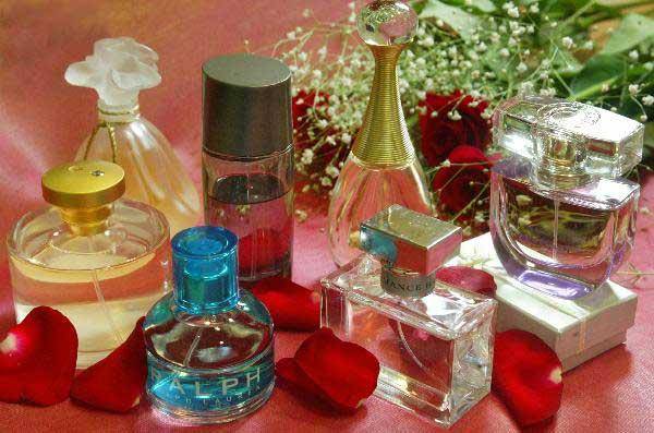 [헬스조선]후각을 보호하기 위한 '선택적 피로 현상' 때문에 후세포가 금방 둔감해져 몸에 뿌린 향수 향기를 잘 맡지 못하게 된다/사진=조선일보 DB