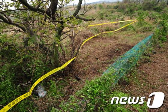 13일 낮 12시쯤 여성 변사체가 발견된 서귀포시 안덕면 동광리 보리밭에 폴리스라인이 둘러져있다. 발견 당시 시신은 부패가 많이 진행된 상태로 머리 부분만 흙에 덮여 있었으며 가슴 등 몸에서 예리한 흉기로 6차례 찔린 상처가 있었다. 2016.4.16/뉴스1 © News1 안서연 기자