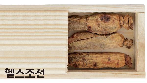 [헬스조선]홍삼