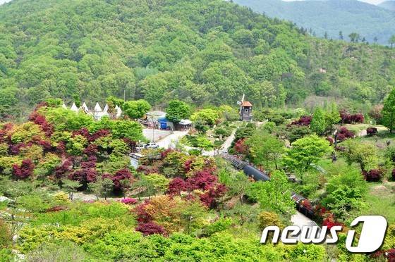 공주 이안 숲. 이지민 작가 © News1