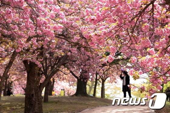 경주의 모습. 김민수 작가© News1
