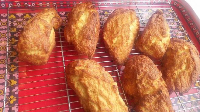 ▲ 스코프 매대에 배치된 플레인 스콘들.