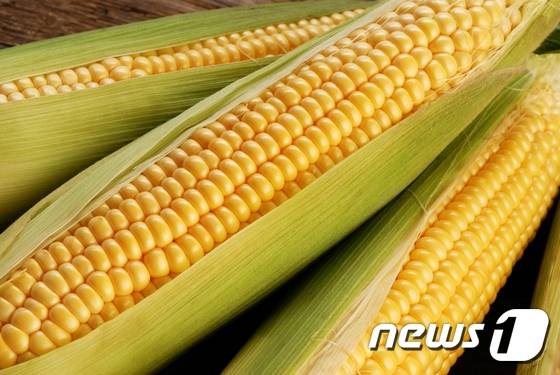 © News1