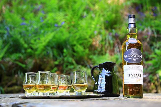 폭포 옆에서 마신 글렌고인 12년 한 잔.