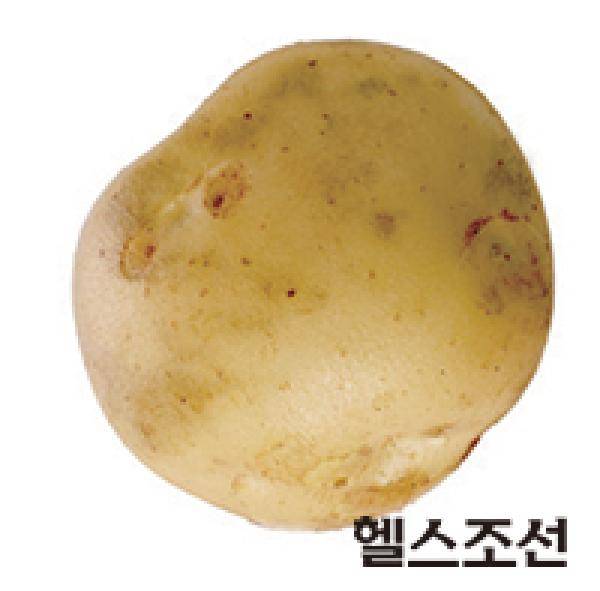 [헬스조선]