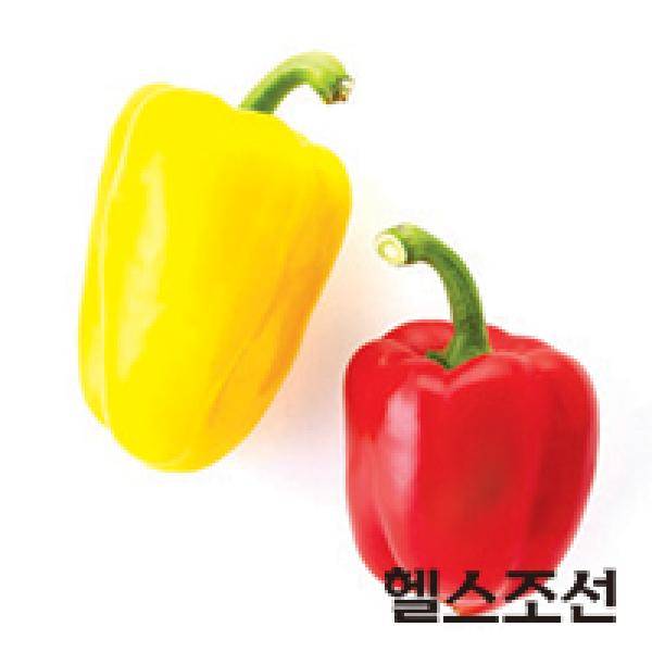 [헬스조선]