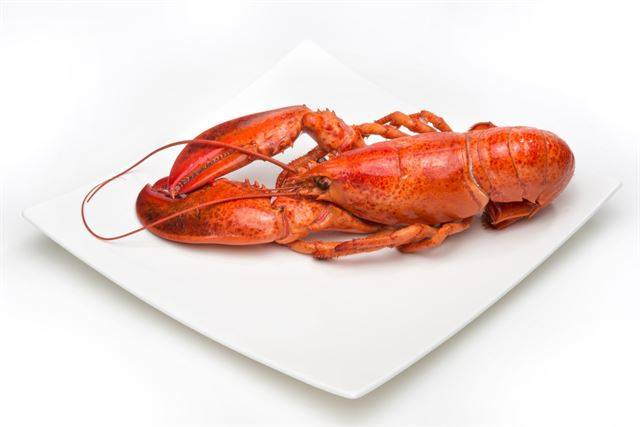 게티이미지뱅크