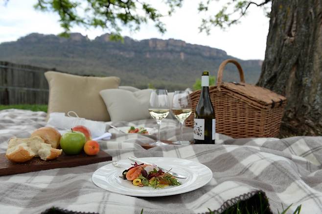 계곡에서의 피크닉