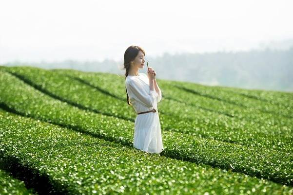 이니스프리 CF에는 소녀시대 멤버인 윤아가 녹차밭을 걷는 모습을 보여준다.  /사진=이니스프리 제공