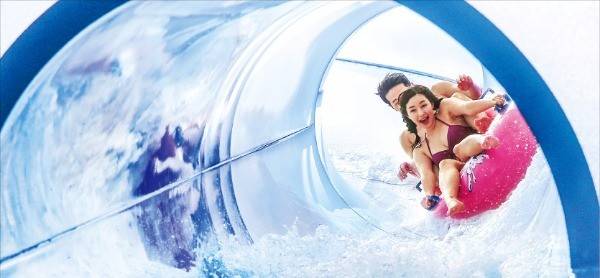 원마운트 투겔라이드