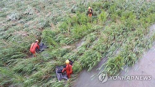 정선 급류 실종자 찾는 특수구조대원 (정선=연합뉴스) 9일 오전 강원 정선군 동강 일대에서 지난 4일 승용차 추락사고로 급류에 휩쓸려 실종된 60∼70대 노인들을 찾고자 강원도 소방본부 특수구조대원들이 수색하고 있다. 2016.7.9 [정선소방서 제공=연합뉴스] conanys@yna.co.kr (끝)