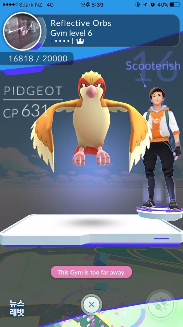 포켓몬 '피죤'과 주인공 캐릭터(CP수치는 포켓몬 능력치를 말하며 높을수록 강한 포켓몬이다) = 뉴스래빗 독자 제공