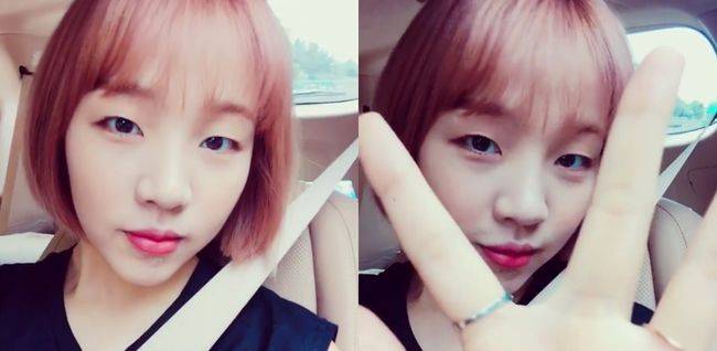 출처:/ 백아연 SNS