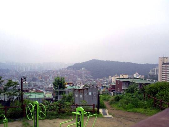 포털사이트 캡처