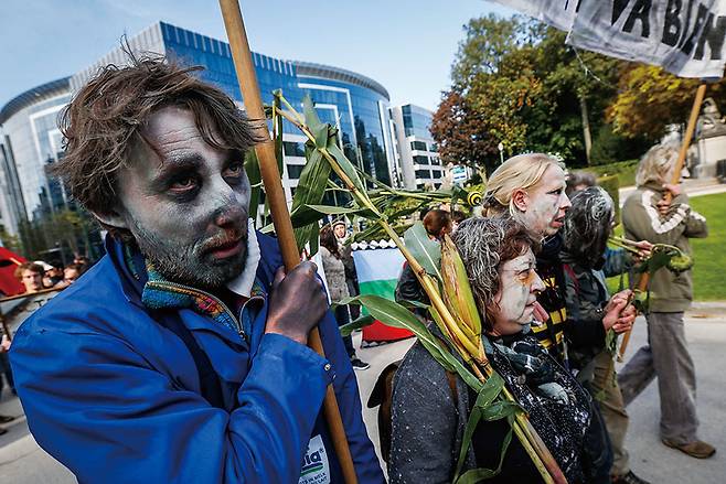 세계적으로 반GMO 운동이 한창이던 2013년 벨기에 사람들이 독성 화학물질과 GMO를 만든 기업 몬산토에 대해 항의 시위를 벌였다.