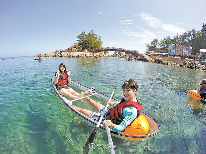맑은 바닷속이 훤히 비치는 투명카누는 커플, 가족 여행객에게 인기다.