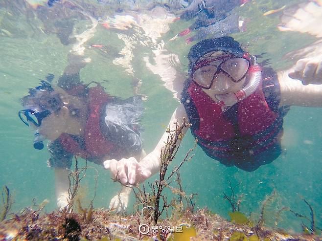 스노클링을 즐기는 사람들. 장호항에는 노래미, 복어, 전갱이 등 물고기가 많다.