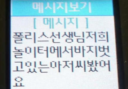 한 여중생의 '바바리맨' 신고 문자 메시지.