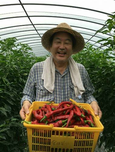 (사진=김무성 전 대표 페이스북)