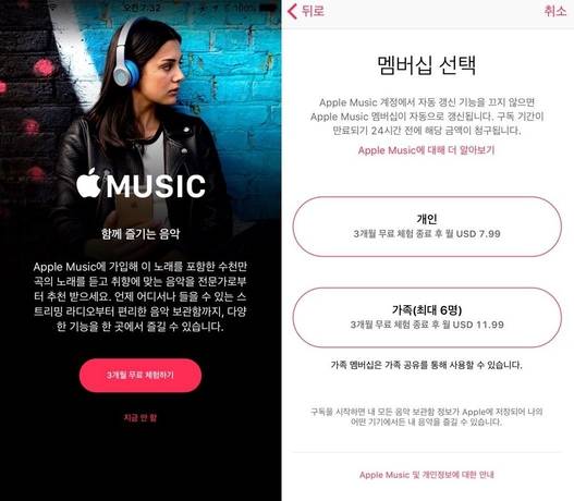 애플이 애플뮤직의 한국 서비스를 시작했다. 사진은 아이폰으로 애플뮤직을 실행시킨 모습 /애플 제공