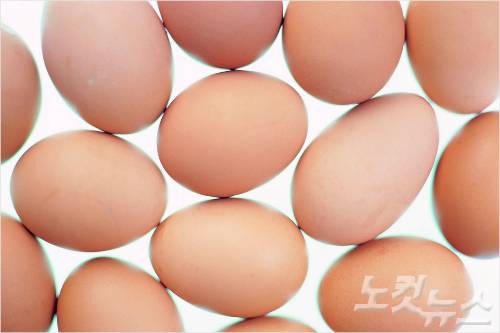 (사진=자료사진)