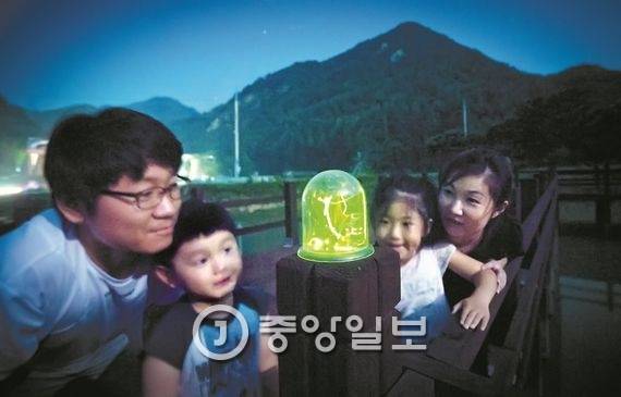 채집통에 담긴 늦반딧불이를 바라보고 있는 가족 여행객.