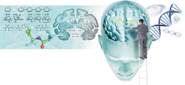 그래픽 = 송재우 기자 jaewoo@