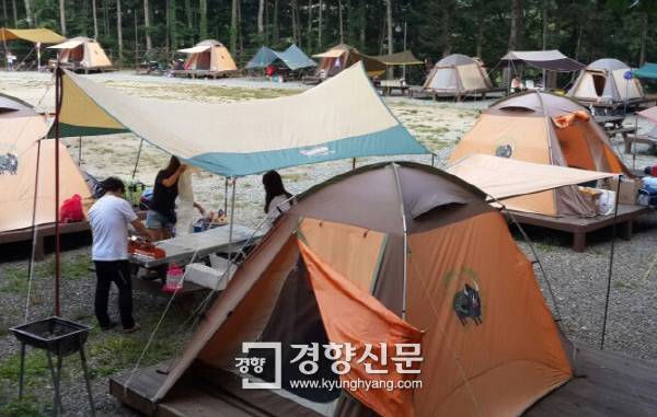 지난달 24일 오후 강원 횡성군 강림면 월현리 ‘횡성 별빛마을 서울 캠핑장’을 찾은 가족단위 캠퍼들이 저녁식사 준비를 위해 식탁을 정리하고 있다.