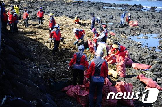 10일 제주시 외도동 월대천 일대 바닷가에서 민·관·군 봉사자들이 태풍 '차바(Chaba)'가 몰고 온 해양쓰레기를 수거하고 있다.2016.10.10./뉴스1 © News1 오미란 기자