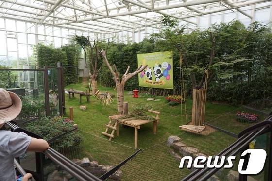 시선의 사각지대가 전혀 없는 자이언트판다의 방사장. 풀과 나무로 잘 꾸며져 있어 겉으로만 보기에는 문제점을 짚어내기 어렵다. (사진 최혁준) © News1