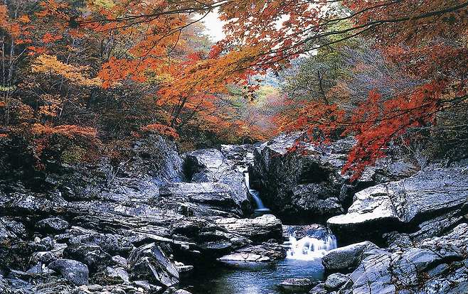 지리산국립공원 피아골.