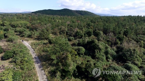 '비선 실세' 최순실씨의 조카 장시호(개명 전 장유진) 남매가 소유한 제주 서귀포시 색달동의 임야와 전 4개 필지 [연합뉴스 자료사진]