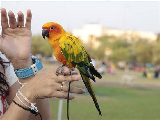 사진=게티이미지뱅크