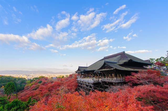 일본 간사이 지역 단풍여행지 1순위로 꼽히는 교토의 키요미즈데라(청수사). 익스피디아 제공