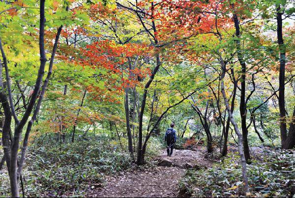[월간산]서운산 정상 남쪽 아래에 자리한 은적암 가는 길.