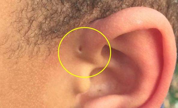 [사진 비즈니스 인사이더 캡쳐]