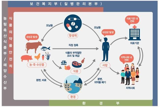 [단독]조류 독감에 이어 수퍼박테리아까지..부산서 또 감염