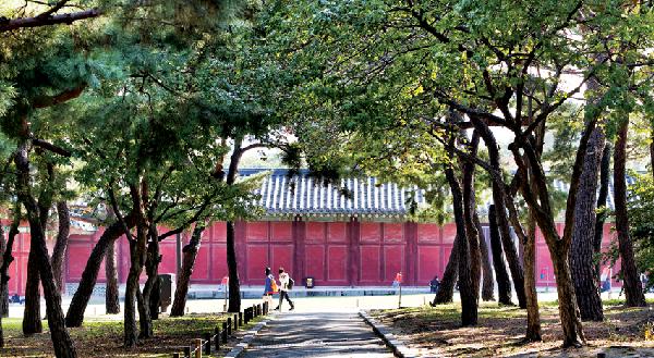 [월간산]창경궁의 운치 있는 숲길. 서울 5대 궁궐 중 가장 숲이 풍성한 곳이 창경궁이다.