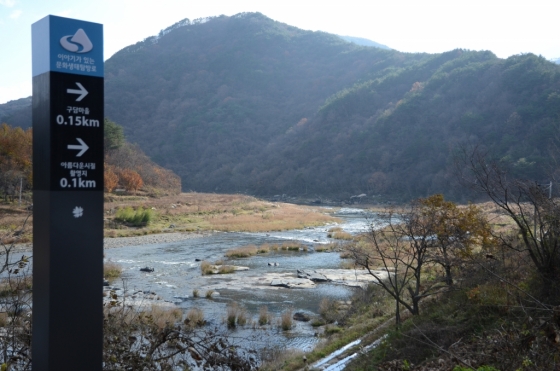 영화 '아름다운 시절' 등 수많은 작품의 배경이 된 전북 임실군 섬진강의 풍경. /사진제공=한국관광공사