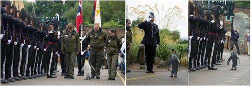 준장 진급식에서 노르웨이 근위대를 사열 중인 닐스 올라프. 우스꽝스럽지만 근위대 병사들의 표정은 엄숙하다. [사진 에든버러 동물원]