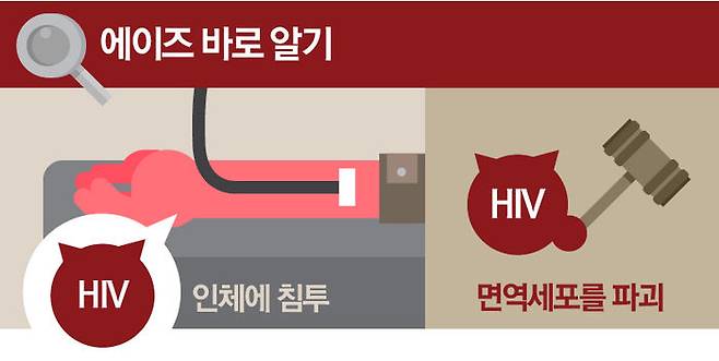 에이즈 바로 알기